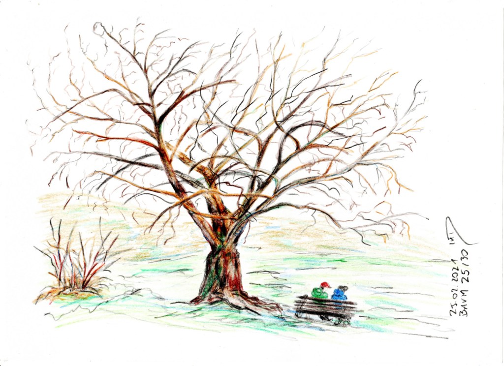 30 Tage – 30 Bäume. Baum 25