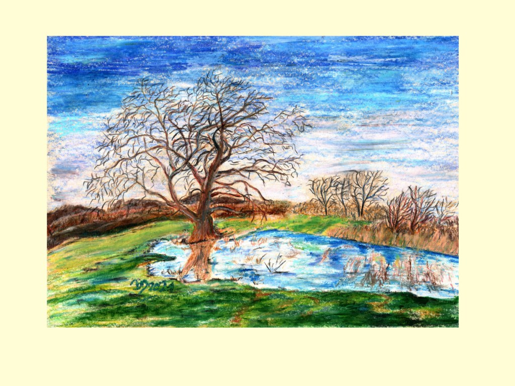 30 Tage – 30 Bäume. Baum 29. Winterlandschaft mit Eiche