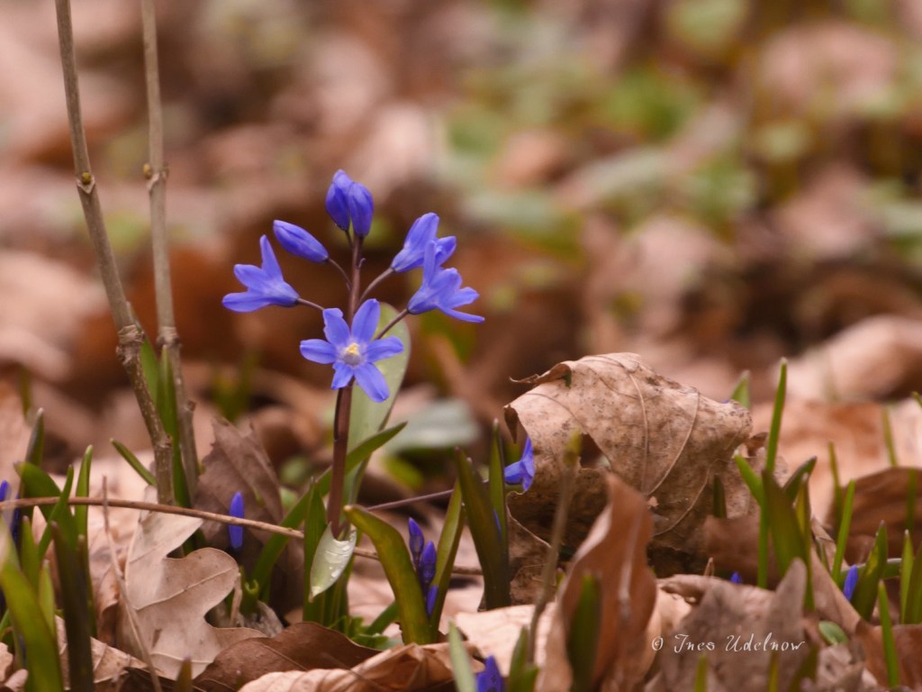 Sie sind wieder&nbsp;da