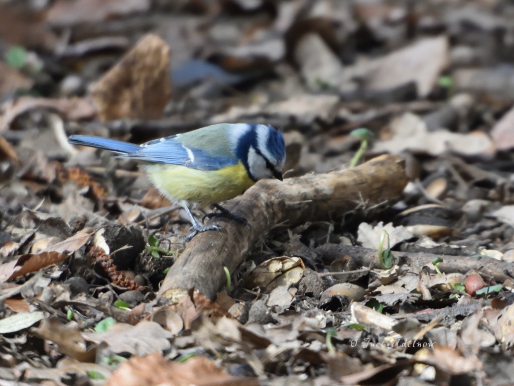 Wenn es wieder wärmer&nbsp;wird
