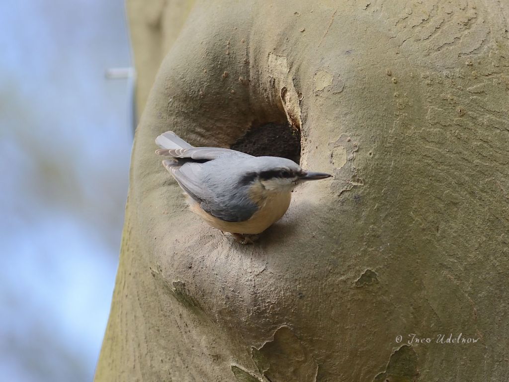 Vor der Kleiberhöhle