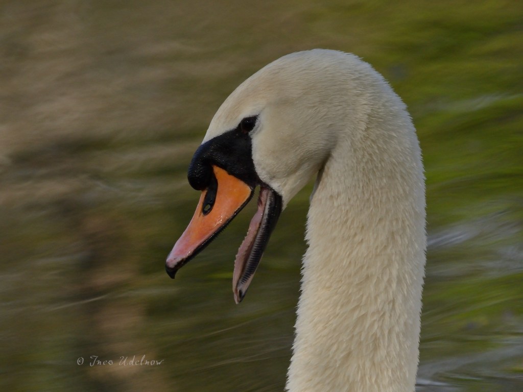 Nichts zu missdeuten
