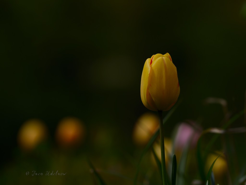 Farben gegen den&nbsp;Blues