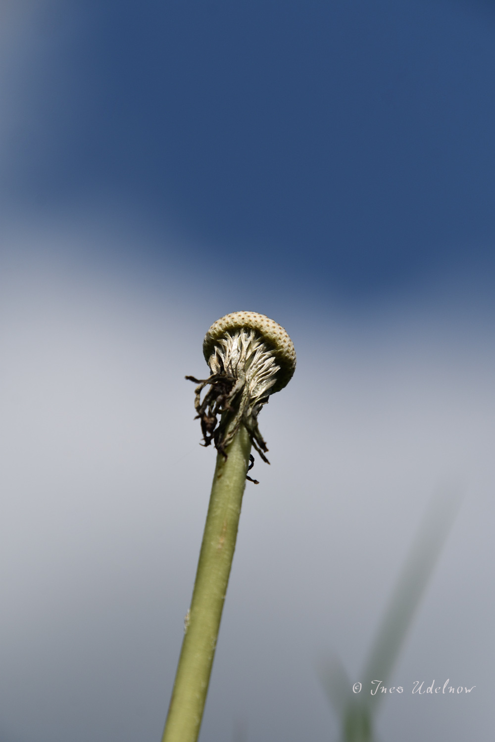Perspektive wechseln