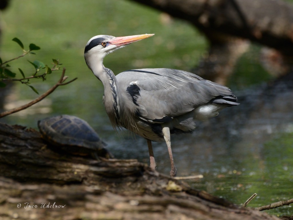 Umsicht walten lassen