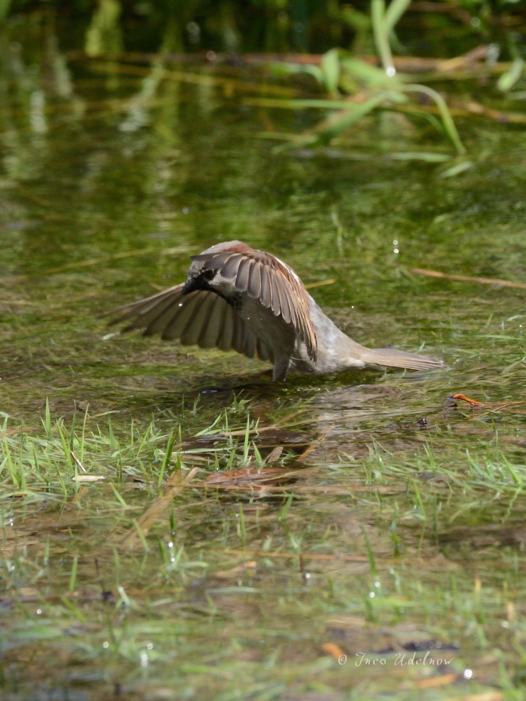 Hinein ins Vergnügen