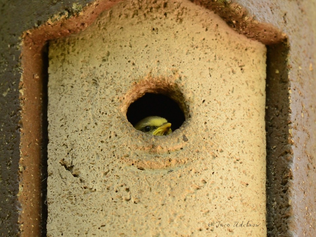 Es rappelt in der&nbsp;Kiste