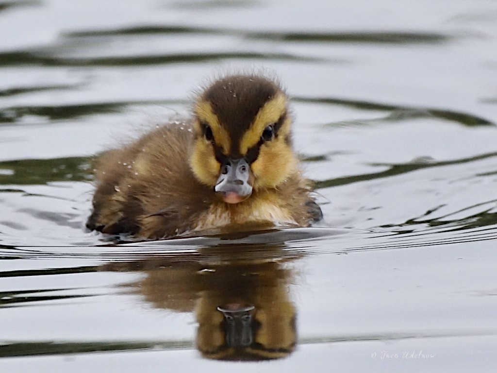 Wundervolles Wochenende