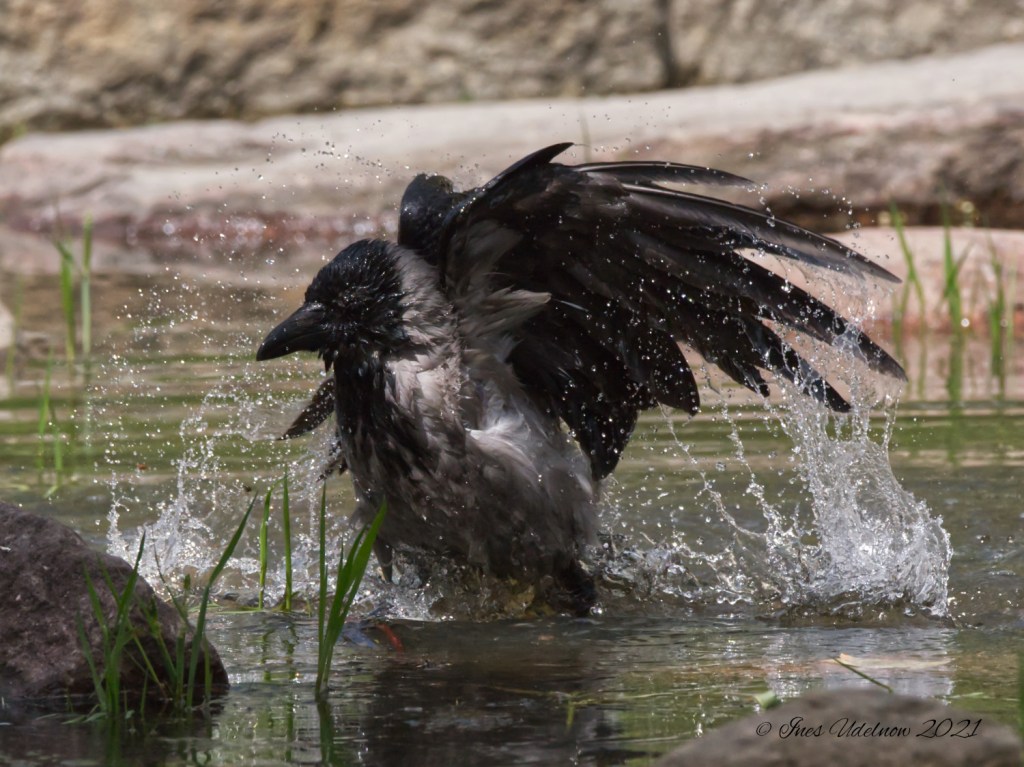 Augenblicke, zeitlos