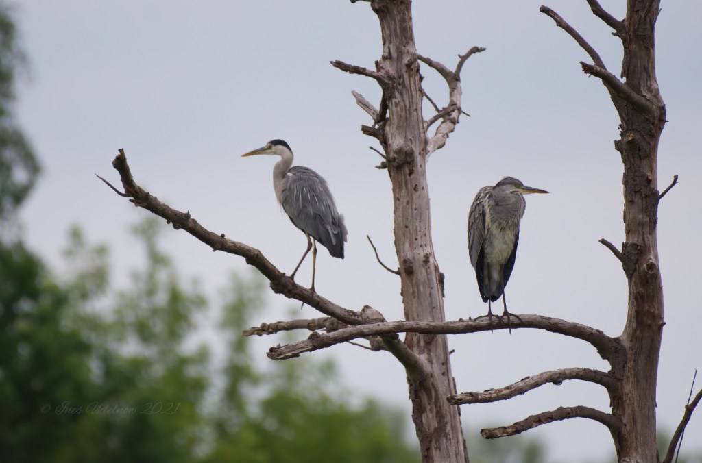 Man schaut nach hier&nbsp;…