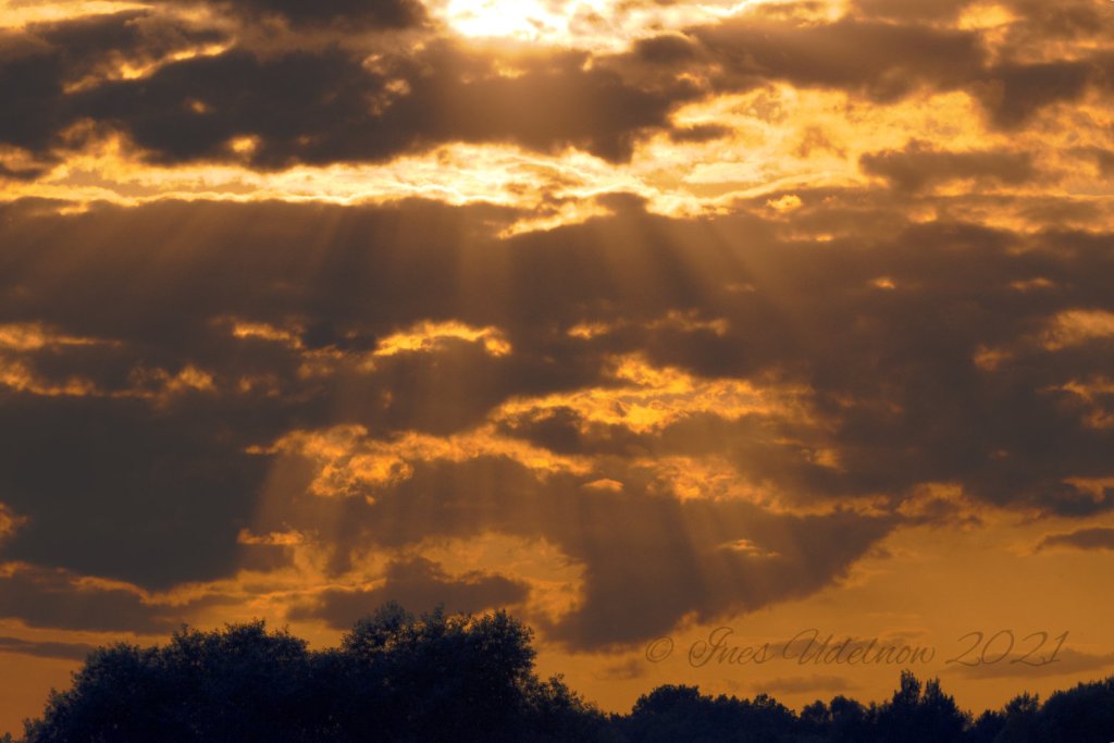 Das zauberhafte Strahlen am abendlichen&nbsp;Himmel