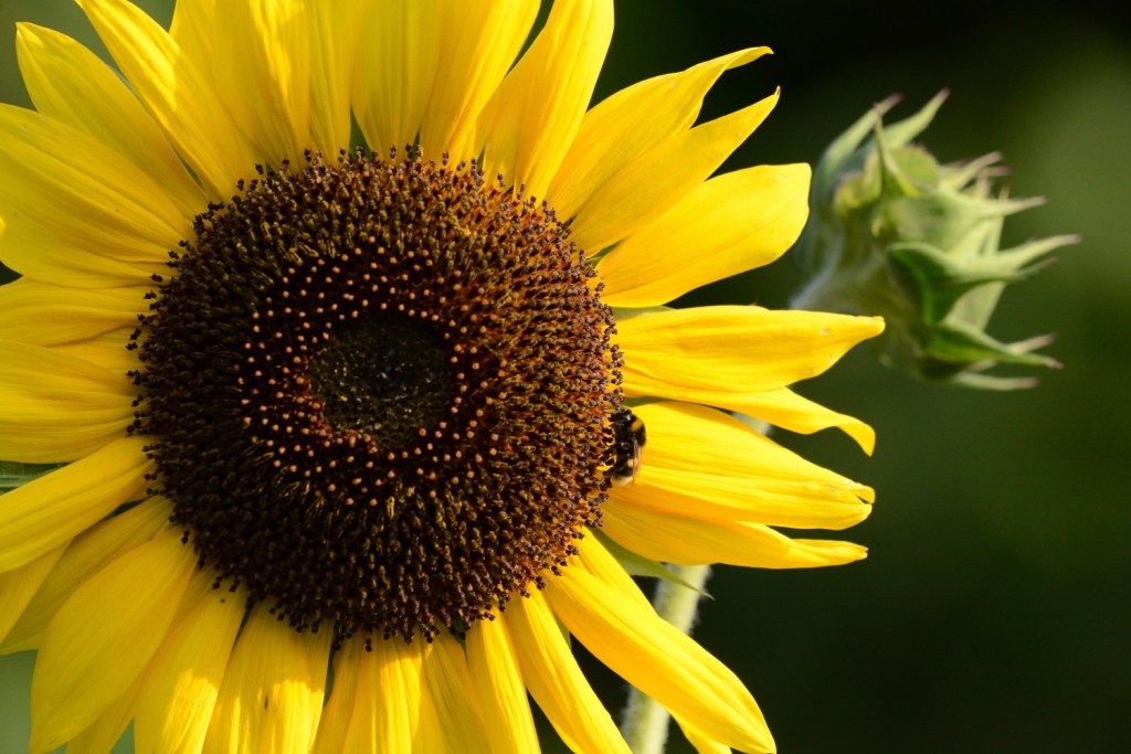Zurück. Und nach vorn&nbsp;gesehen