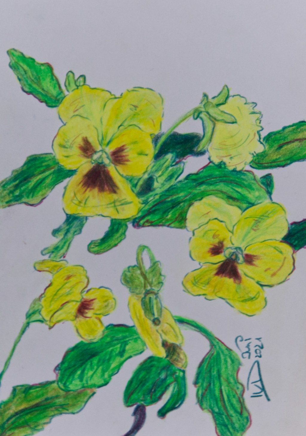 Aus Vaters Garten.&nbsp;Stiefmütterchen