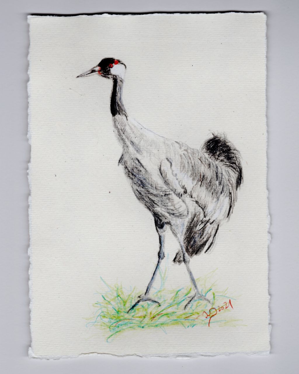 1000 Kraniche. Kranich 37 // crossart for&nbsp;future