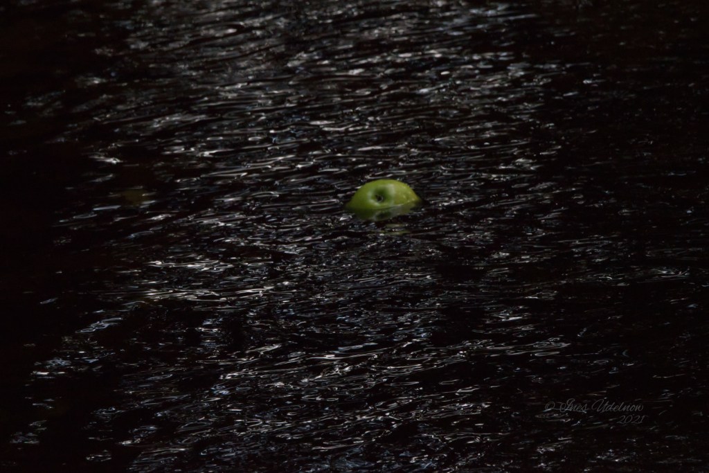 Der Lauf der&nbsp;Dinge