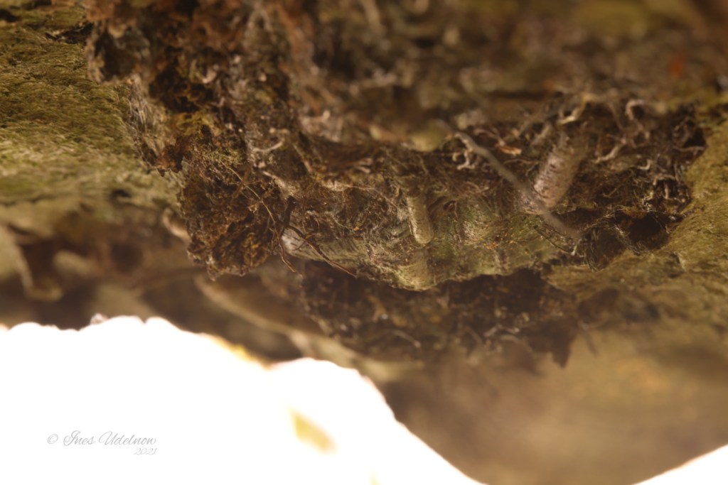 Die Perspektive zu wechseln&nbsp;…