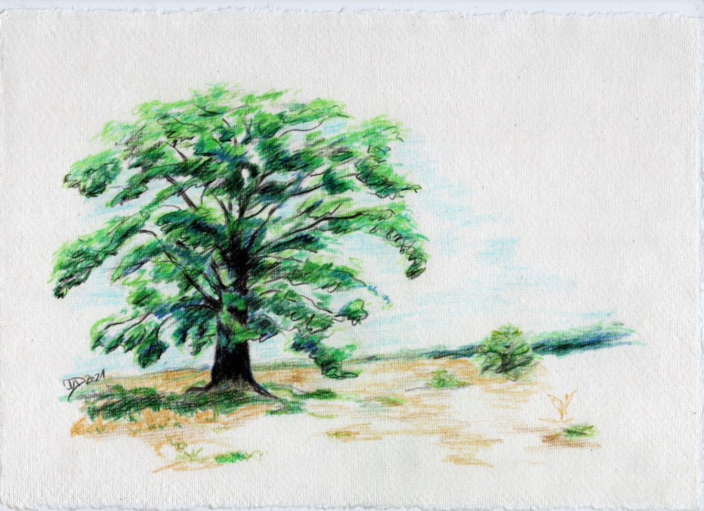 Buntstiftzeichnung. Septembereiche