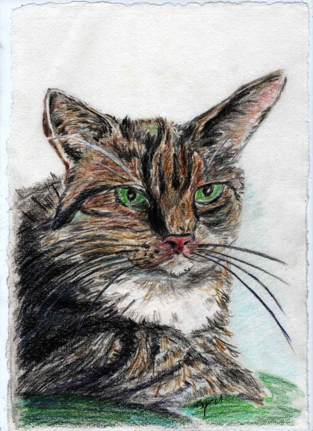 Buntstiftzeichnung. Meine Katze&nbsp;Lotta