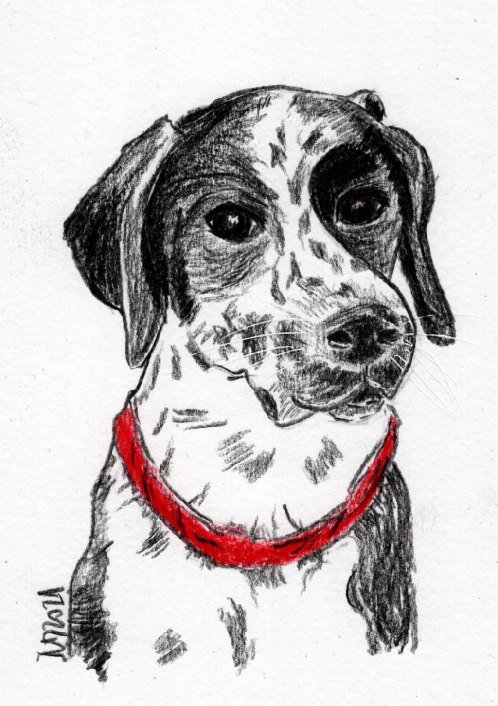 Inktober/aninktober2021, Tag 2. Buntstiftzeichnung Hund