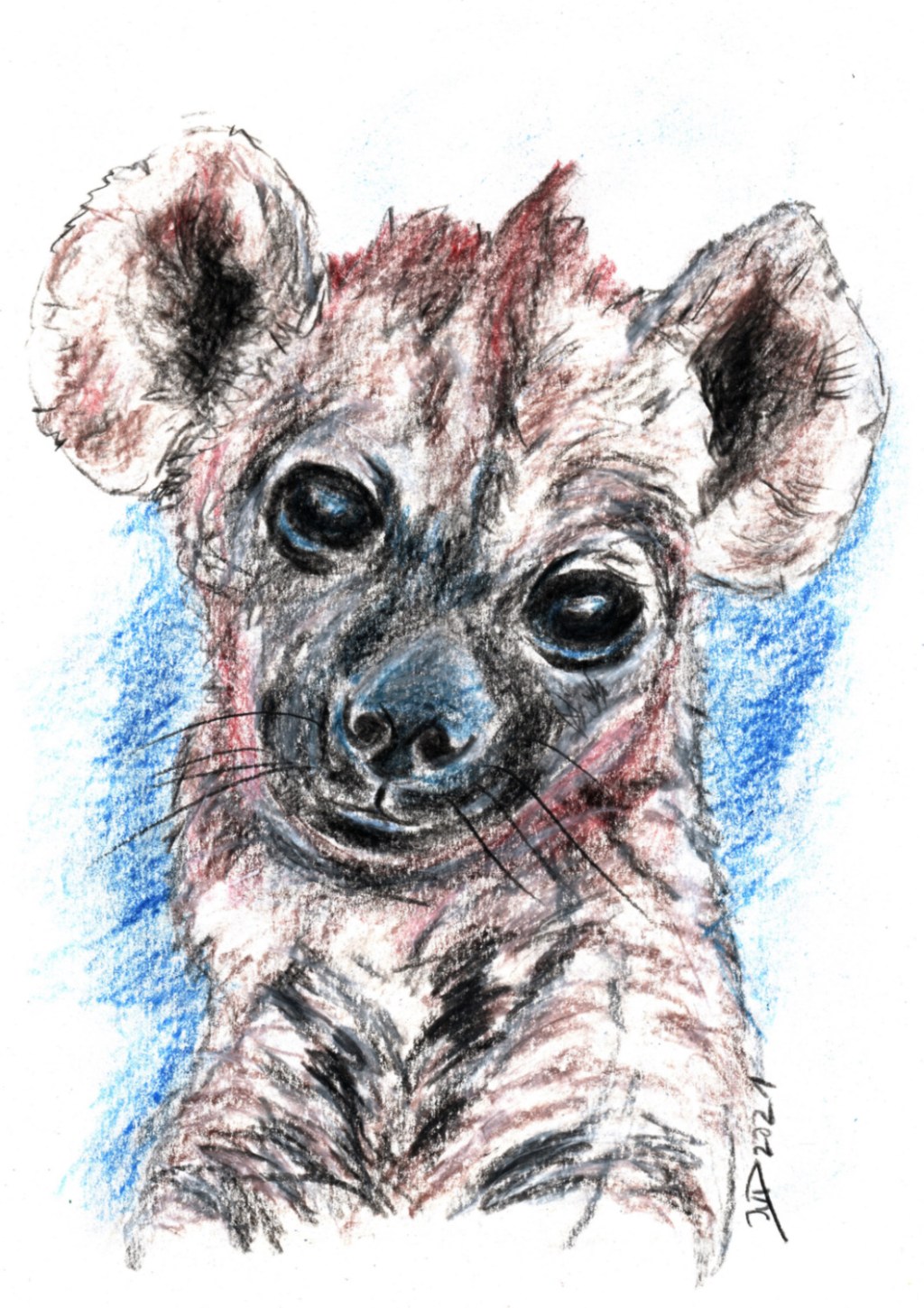 Inktober/aninktober2021, Tag 4. Buntstiftzeichnung Hyäne