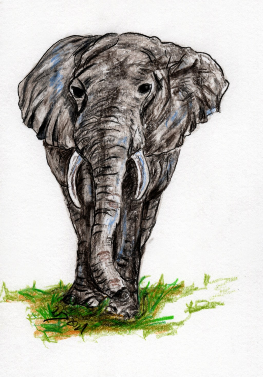 Inktober/aninktober2021, Tag 6. Buntstiftzeichnung Elefant