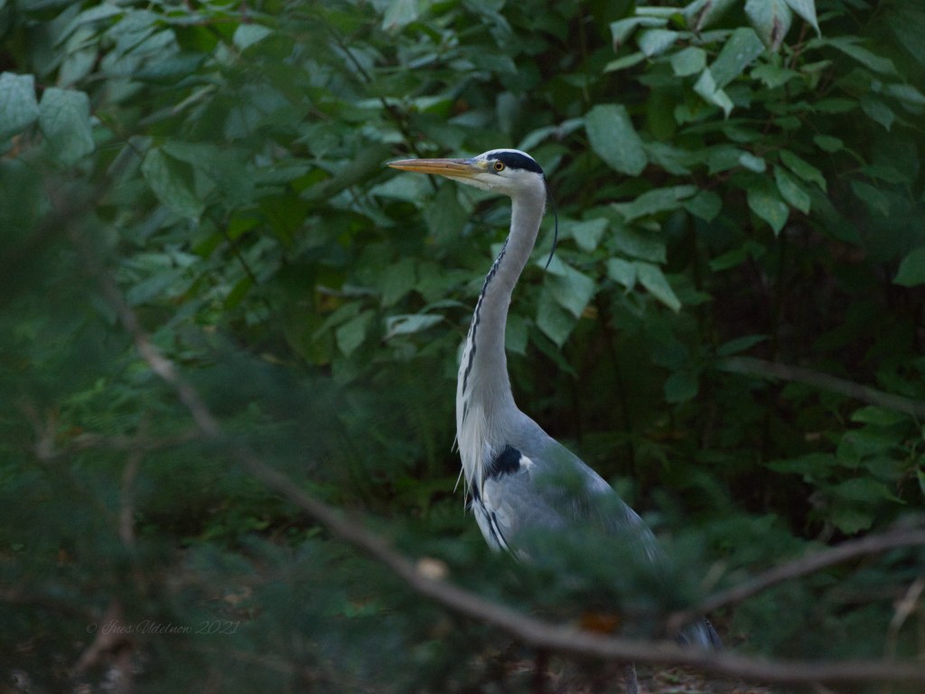 Was er wohl&nbsp;sieht?