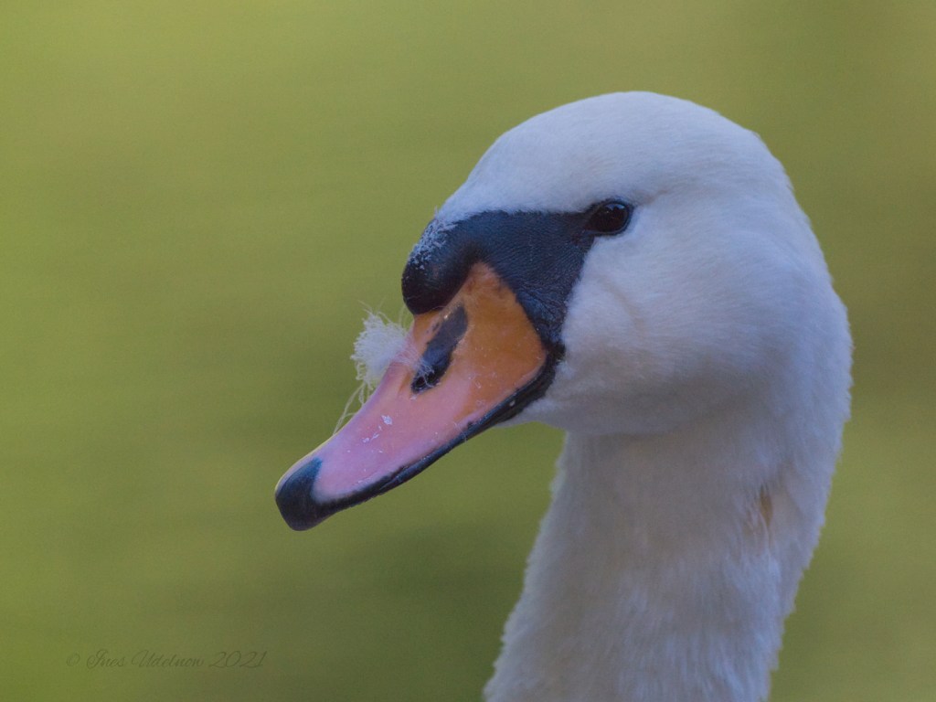 Sie haben da&nbsp;was