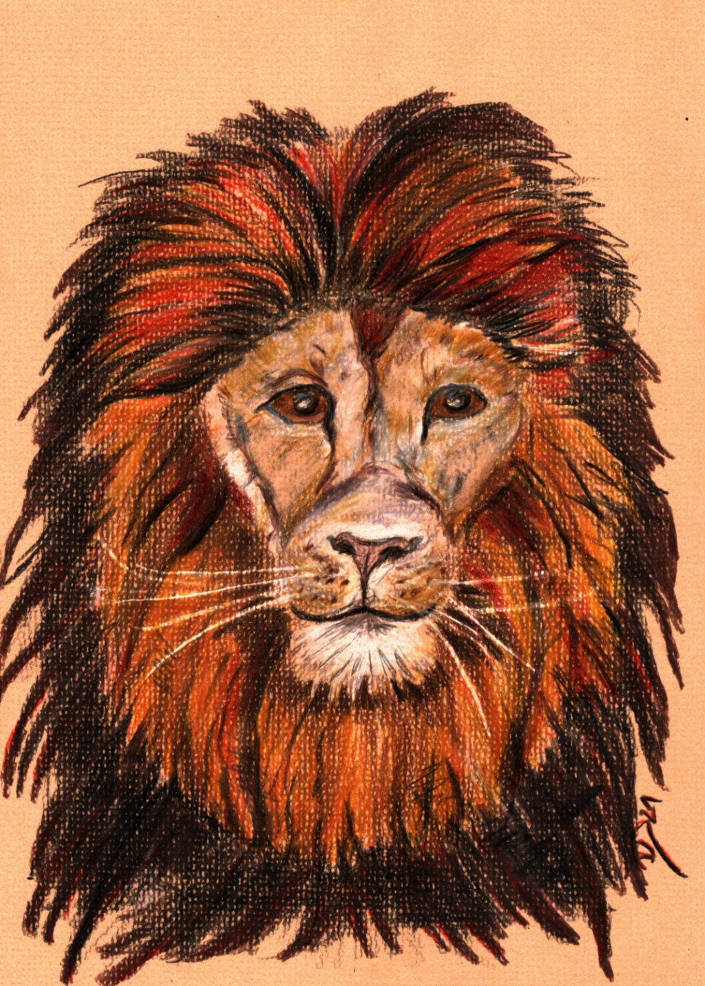 Inktober/aninktober2021, Tag 11. Buntstiftzeichnung Löwe