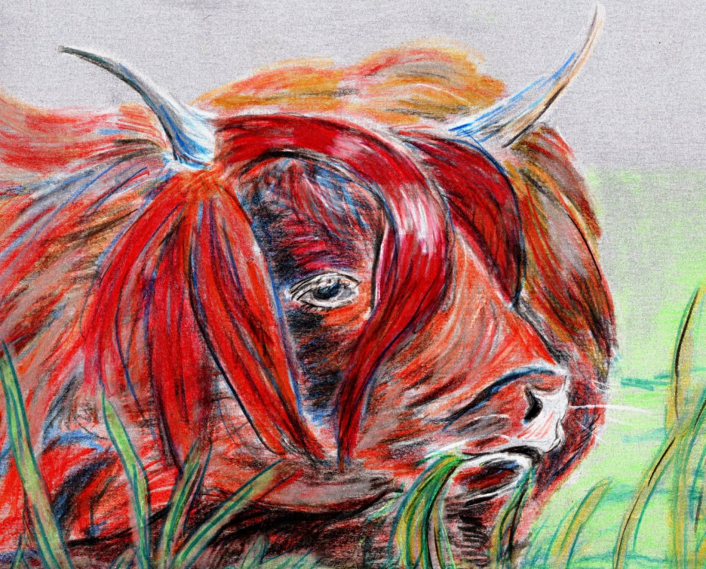 Inktober/aninktober2021, Tag 12. Buntstiftzeichnung Bulle