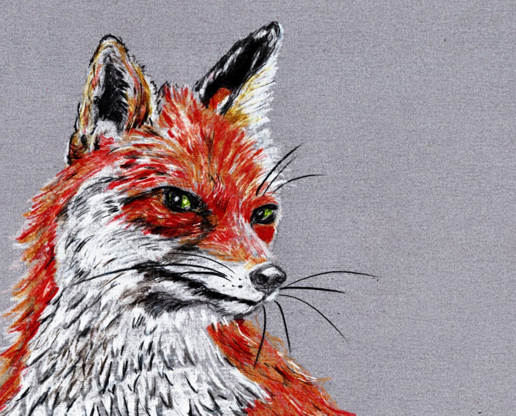 Inktober/aninktober2021, Tag 13. Buntstiftzeichnung Fox