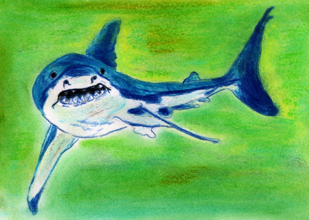 Inktober/aninktober2021, Tag 14. Buntstiftzeichnung Hai
