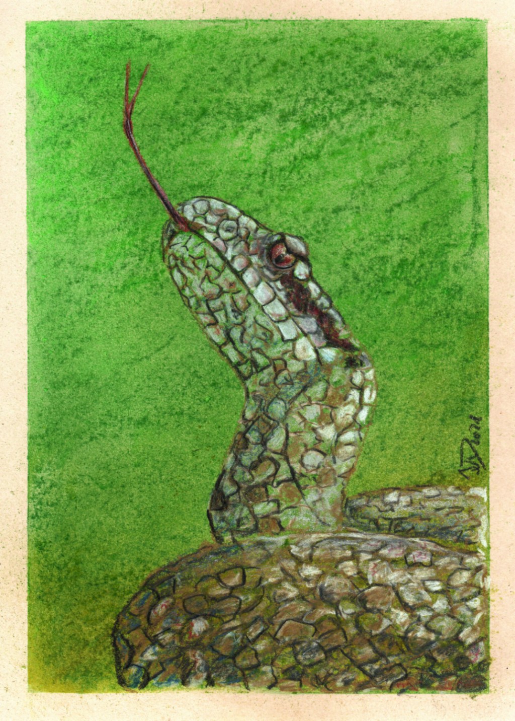 Inktober/aninktober2021, Tag 18. Buntstiftzeichnung Schlange