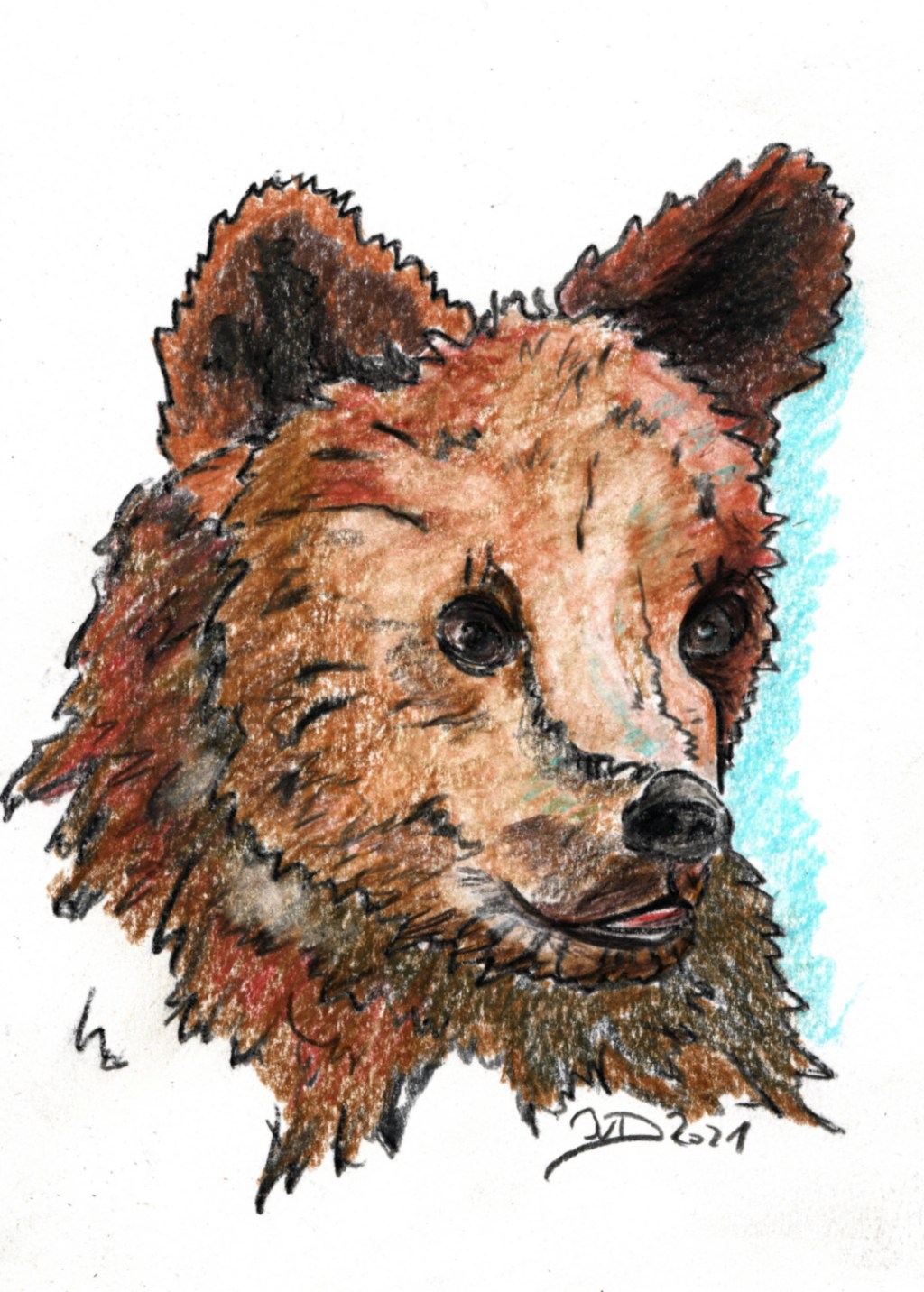 Inktober/aninktober2021, Tag 19. Buntstiftzeichnung Bär