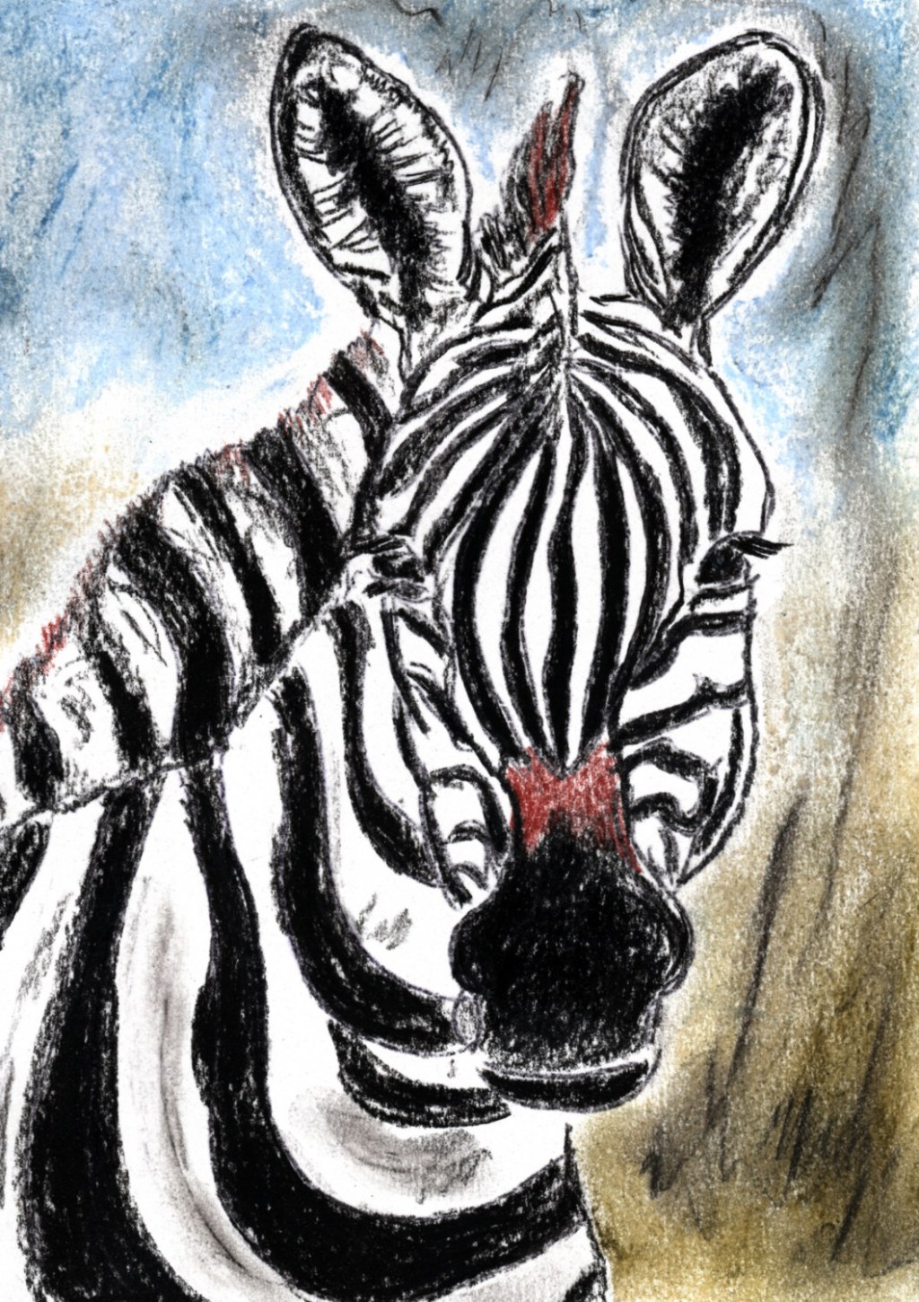 Inktober/aninktober2021, Tag 22. Buntstiftzeichnung Zebra