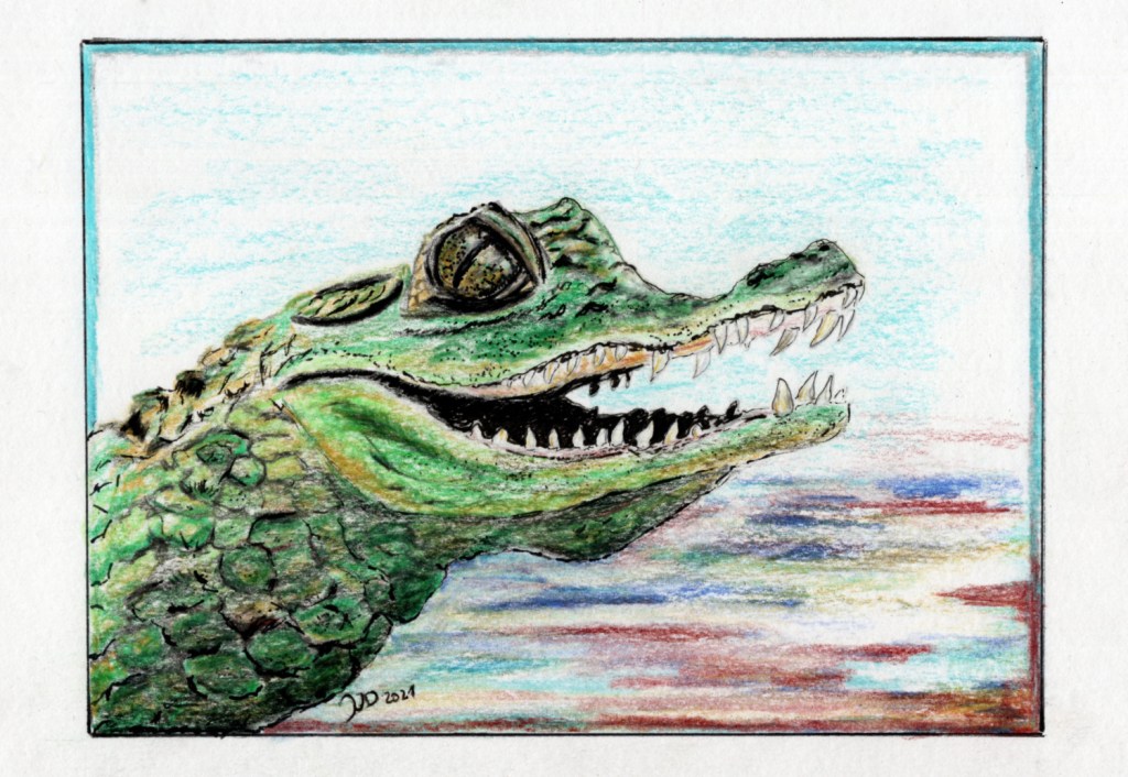 Inktober/aninktober2021, Tag 24. Buntstiftzeichnung Krokodil