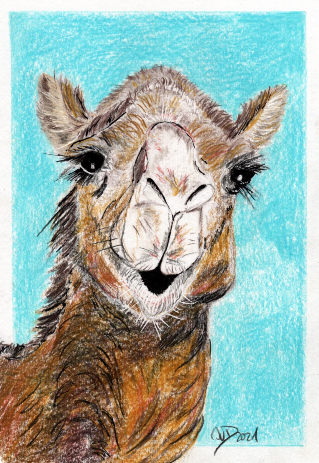 Inktober/aninktober2021, Tag 25. Buntstiftzeichnung Kamel