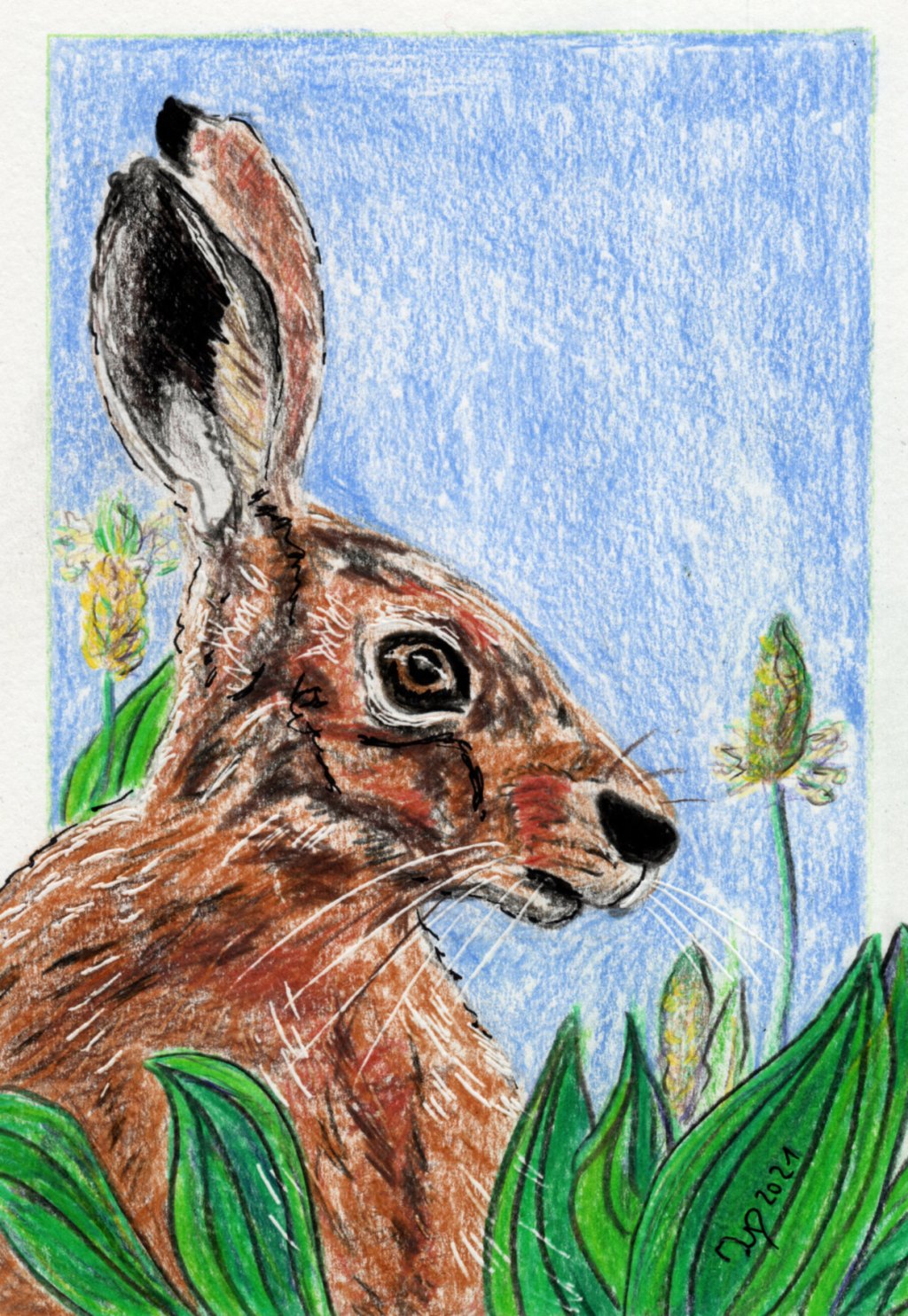 Inktober/aninktober2021, Tag 26. Buntstiftzeichnung Hase