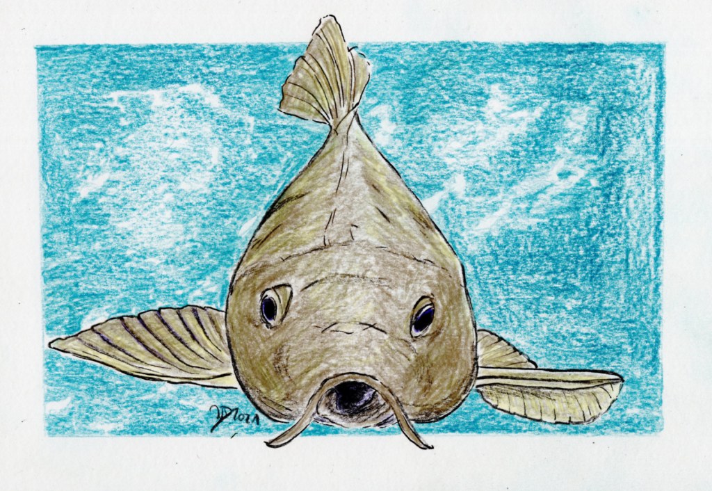 Inktober/aninktober2021, Tag 28. Buntstiftzeichnung Koi