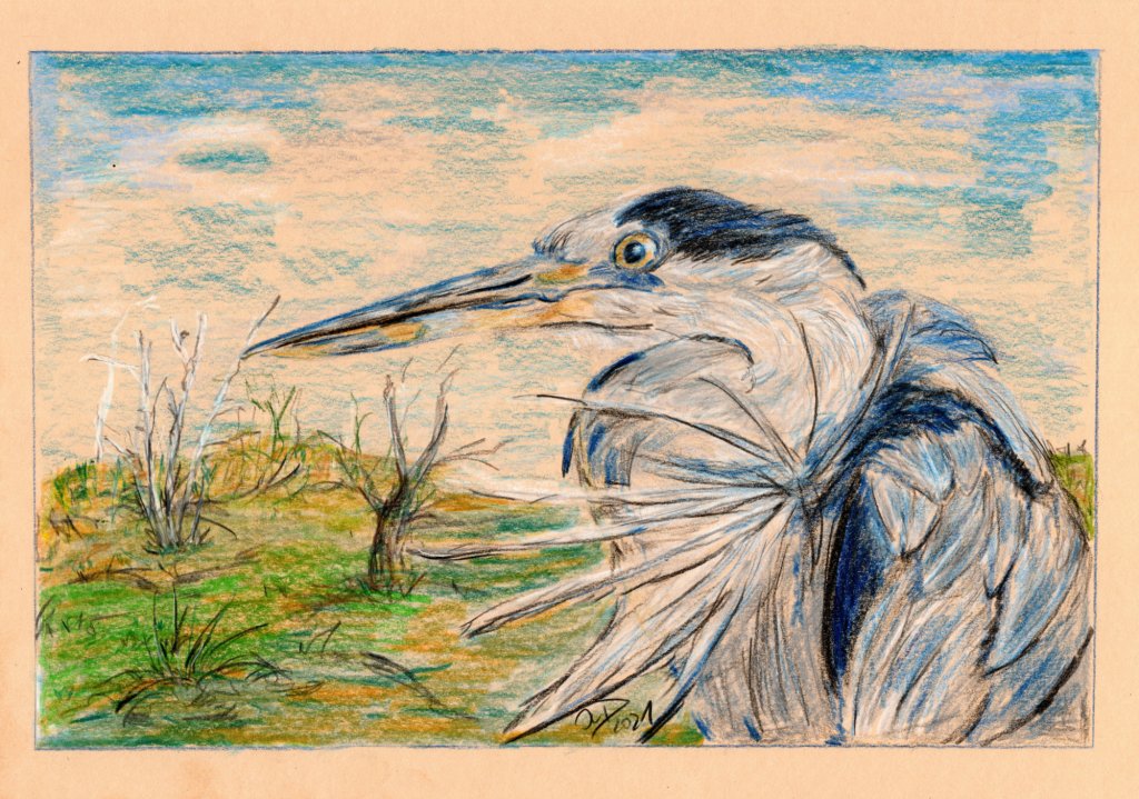 Buntstiftzeichnung. Graureiher vor herbstlicher&nbsp;Landschaft