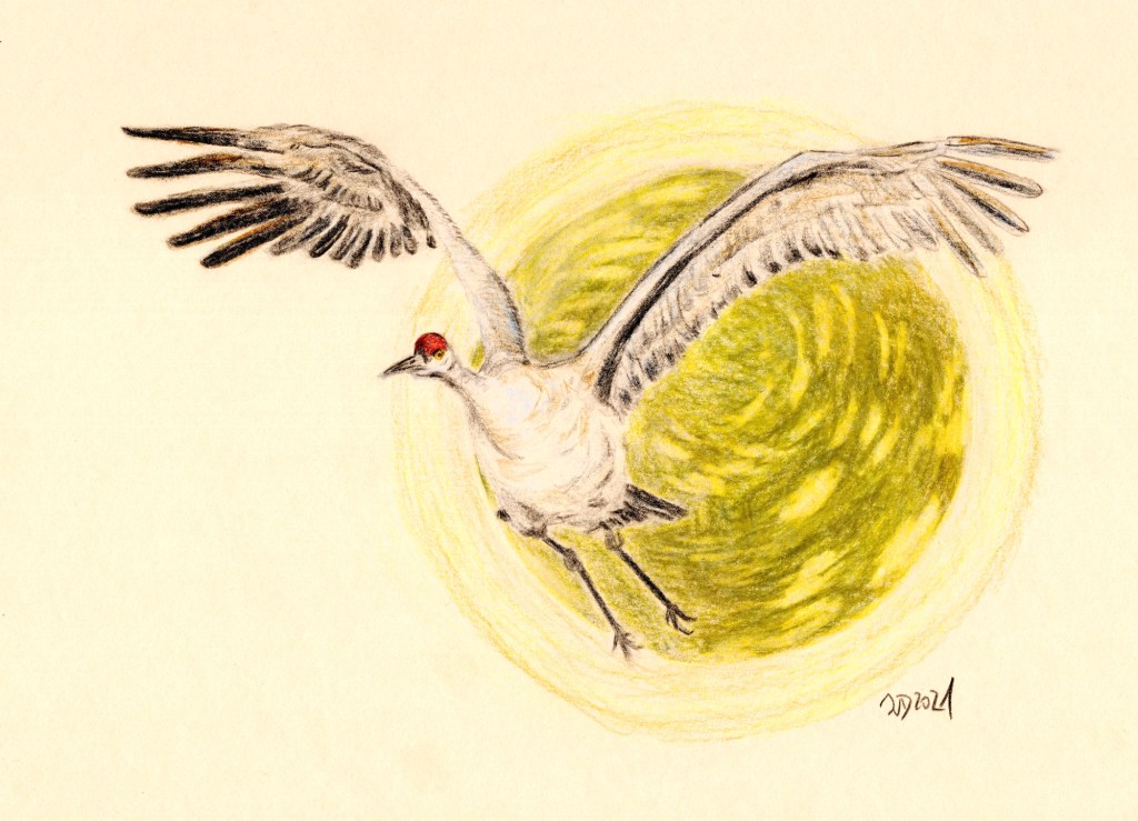 Gemeinschaftsprojekt. Zündstoff Hoffnung