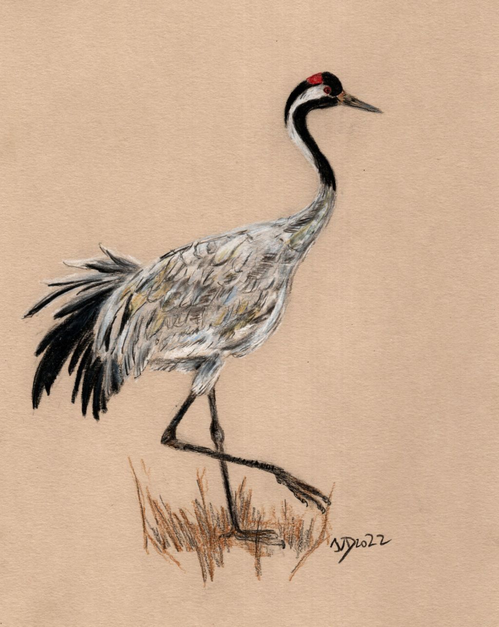 Zündstoff Hoffnung. Noch eine Kranichzeichnung