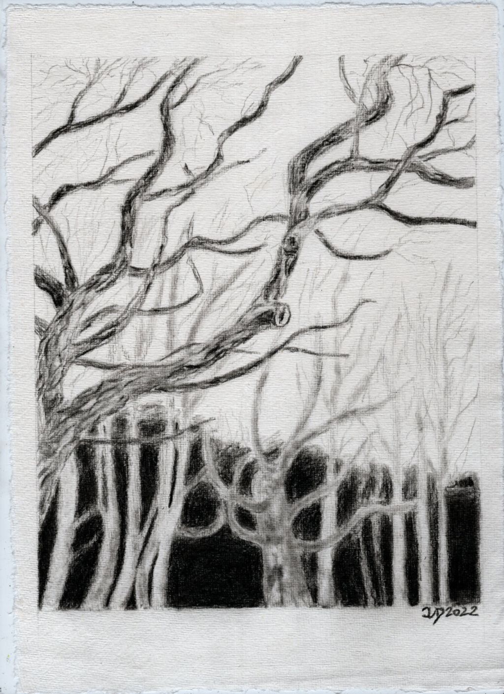 Zeichnung. Am Winterwald