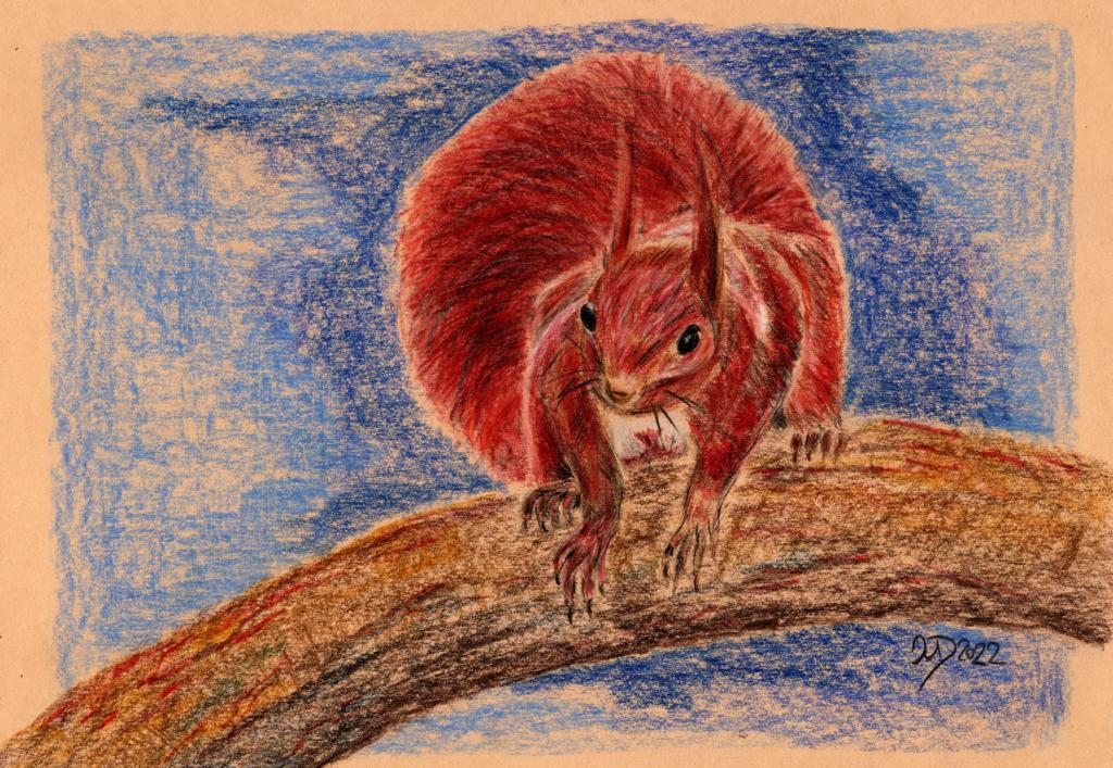 Buntstiftzeichnung. Eichhörnchen