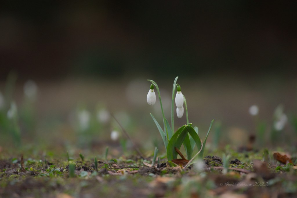 Sie sind wieder&nbsp;da.