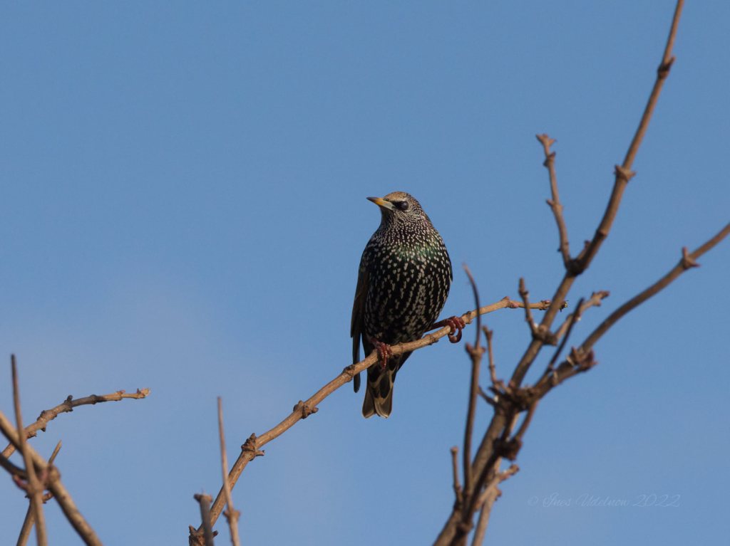 Für ein paar Sekunden&nbsp;Sonne