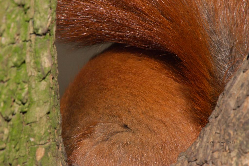 Ein schöner Rücken