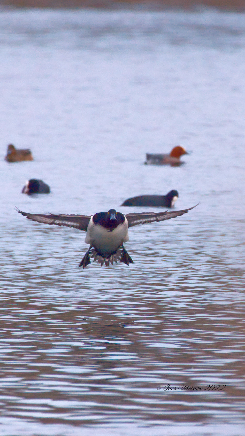 Mit Schwung in den&nbsp;April