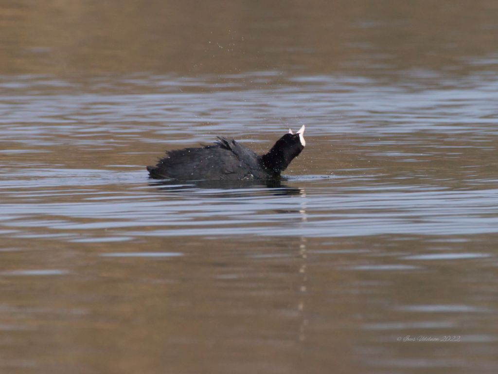 to whom it may&nbsp;concern