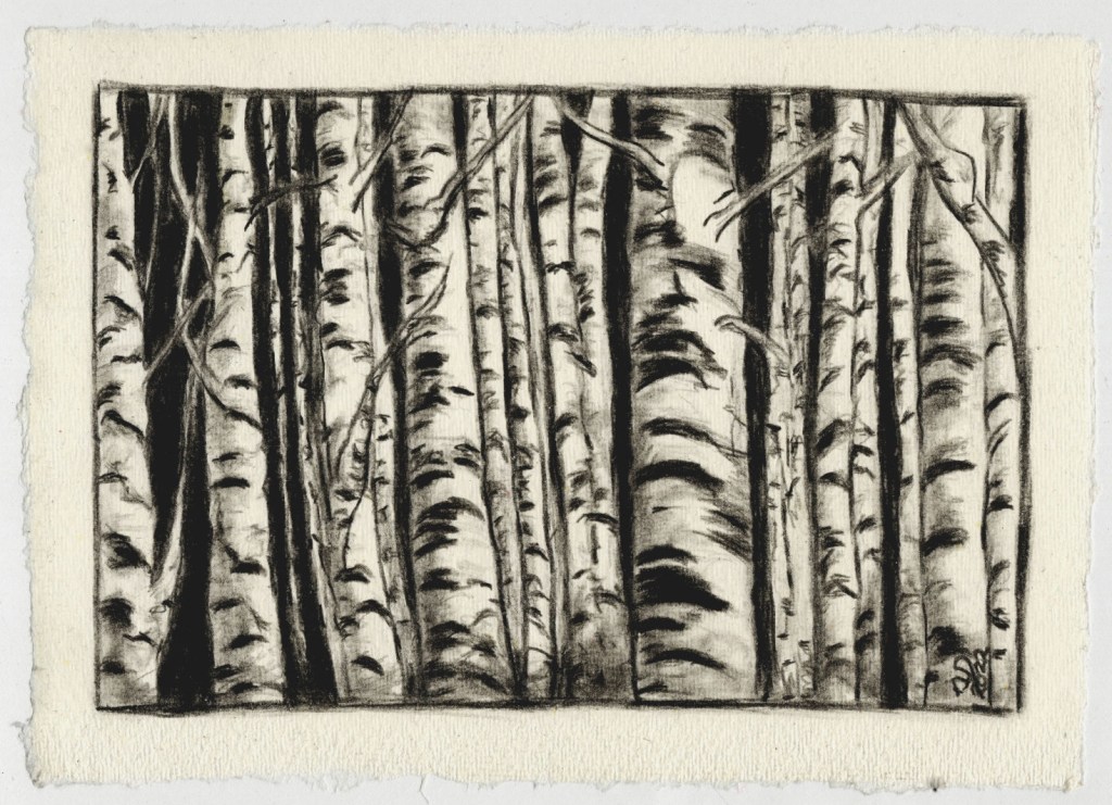 Zeichnung. Im Birkenhain