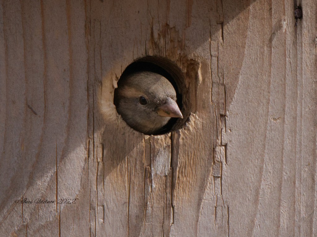 Schaut aus ihrem Fenster&nbsp;raus